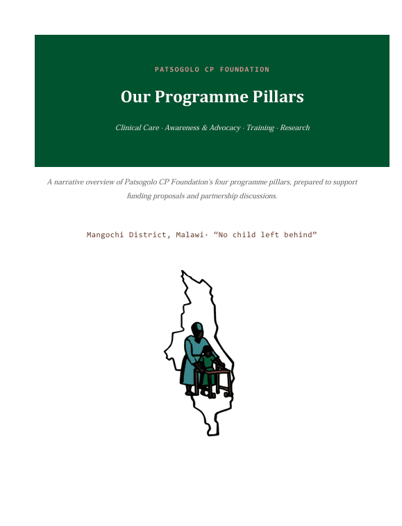 Our Programme Pillars — cover preview